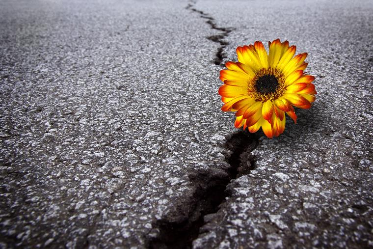 resiliencia Venezuela